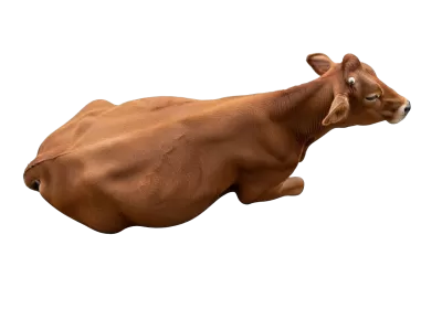 Imagen PNG para descargar